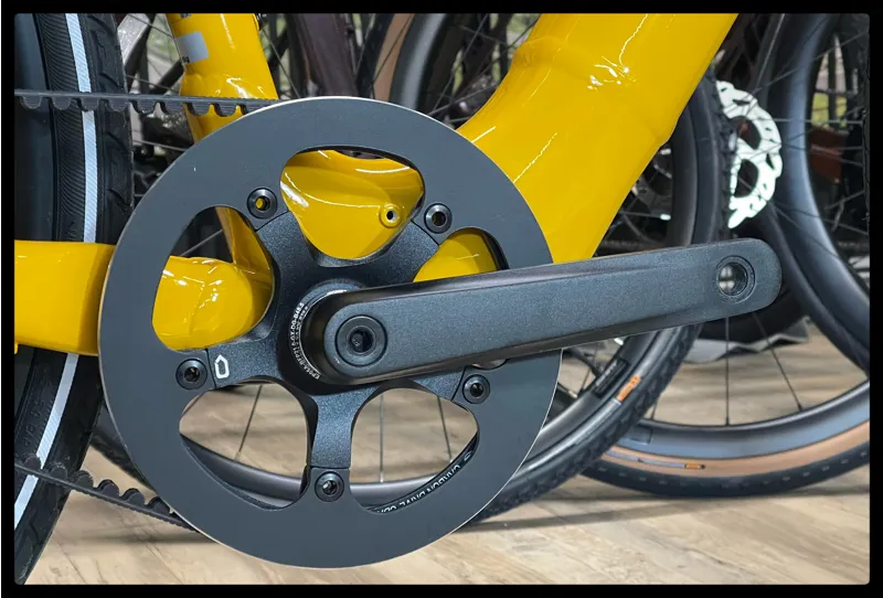 Voya E+2 25km/h Medium Bumblebee 2023-5